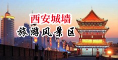 淫荡的校花性爱视频中国陕西-西安城墙旅游风景区
